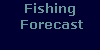 Fishing Forecast